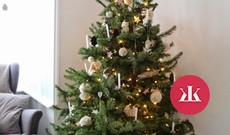 Ako ozdobiť vianočný stromček? Vyber si jeden z horúcich trendov! - KAMzaKRASOU.sk